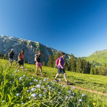 Hiking in Les Gets during the summer