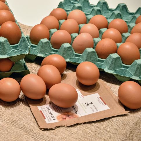 Nos oeufs bio | Montagne & Tradition