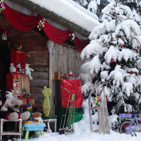 Les Gets enchanted enchanted forest in the snow