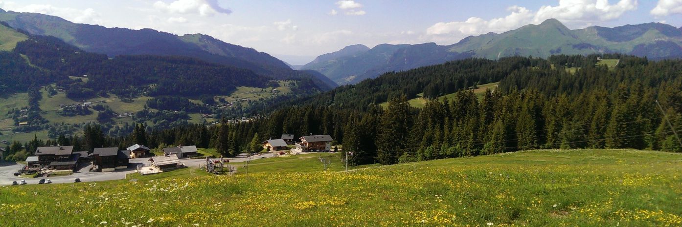 Vue sur la vallée des Gets en été