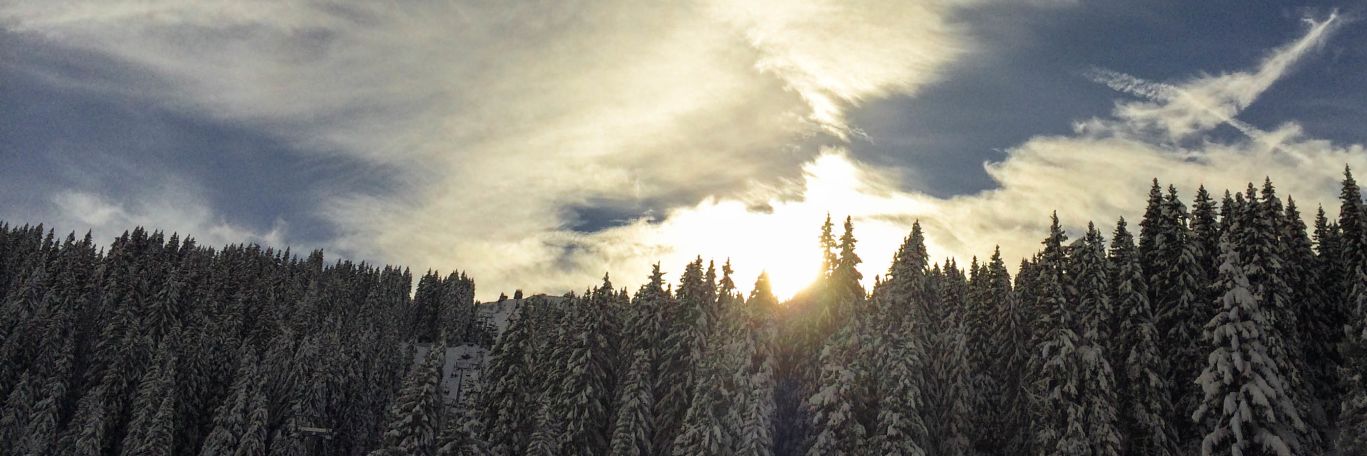 Sun breaking through snowy trees in Les Gets