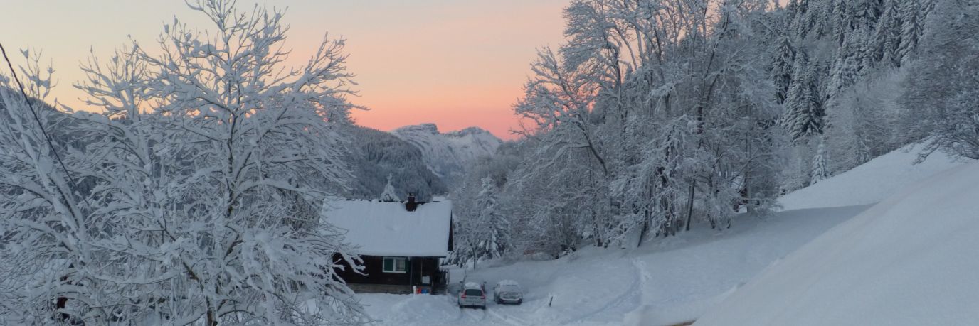 Frosty Morning in Les Gets