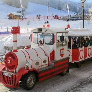 Le Petit Train des Gets