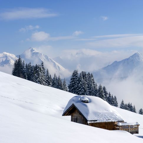 Poudreuse fraîche aux Gets | Chutes de Neiges au Chalet Les Gets