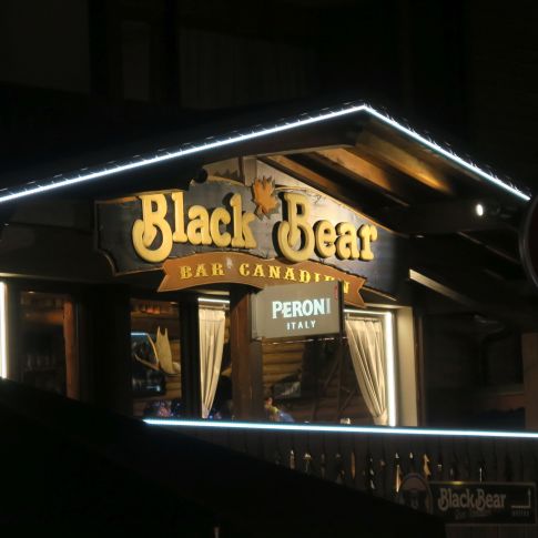 Black Bear, Les Gets